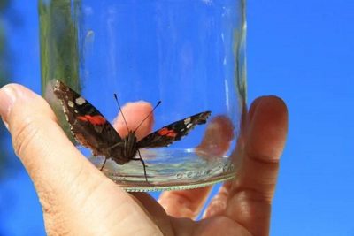 Poems about csa | Recovery From Child Sexual Abuse